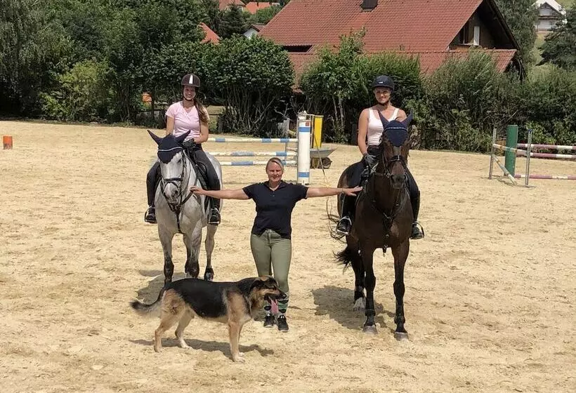 ホテル Pension & Reitschule Fuchsenhof