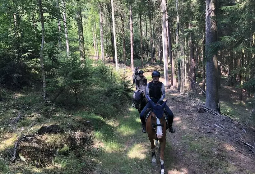 ホテル Pension & Reitschule Fuchsenhof
