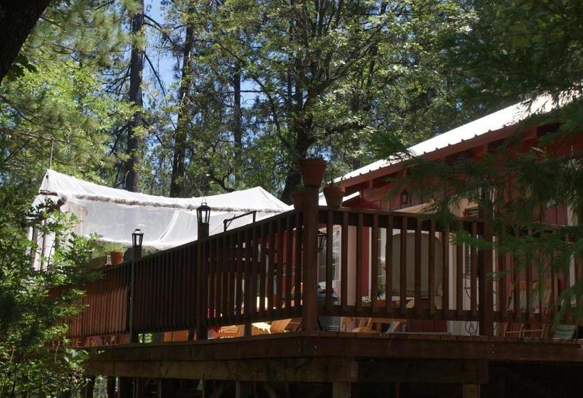 فندق The Red Rooster Lodge