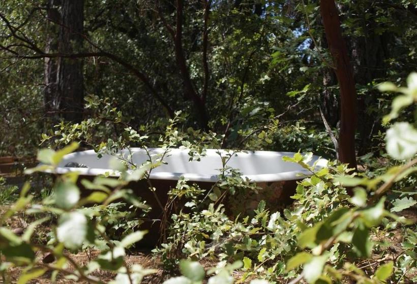 فندق The Red Rooster Lodge