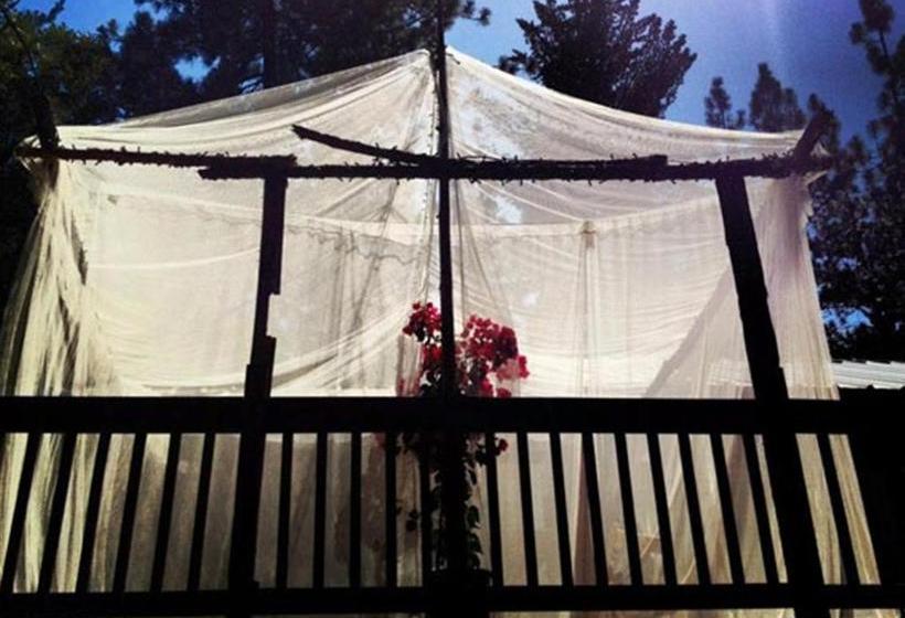 فندق The Red Rooster Lodge