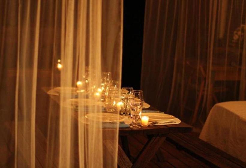 فندق The Red Rooster Lodge