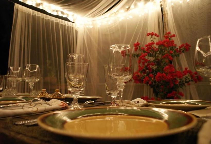 فندق The Red Rooster Lodge