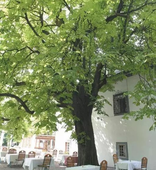 Landhotel Agathawirt