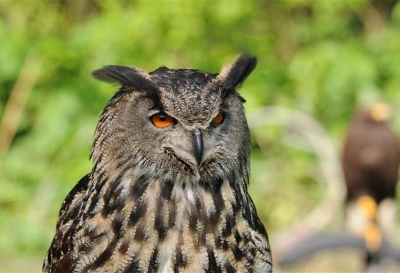 Отель Buitengoed De Panoven