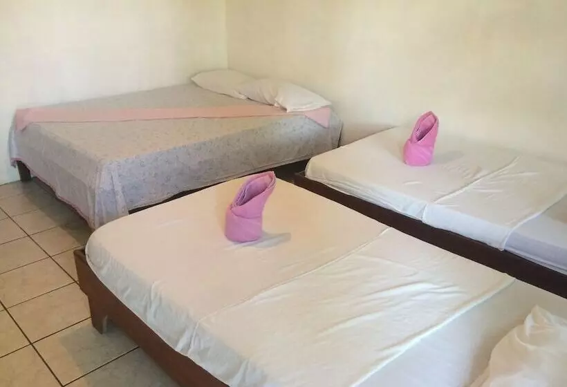 هتل Cabinas Miss Miriam 2