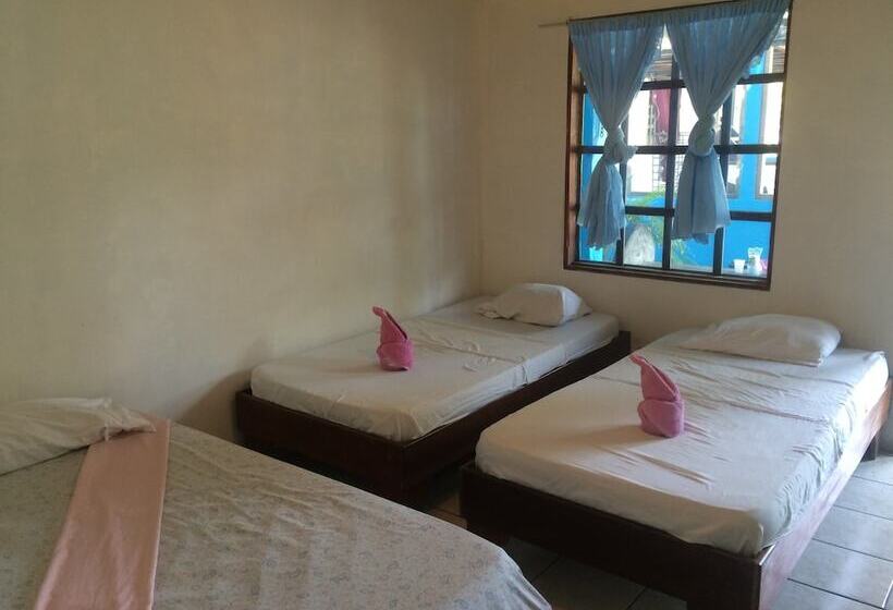 هتل Cabinas Miss Miriam 2