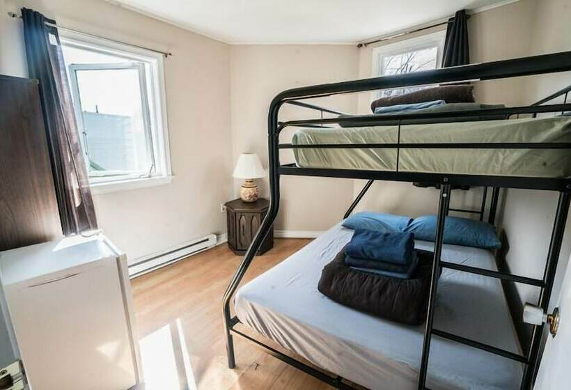 酒店 City Hostel Hi St.john S