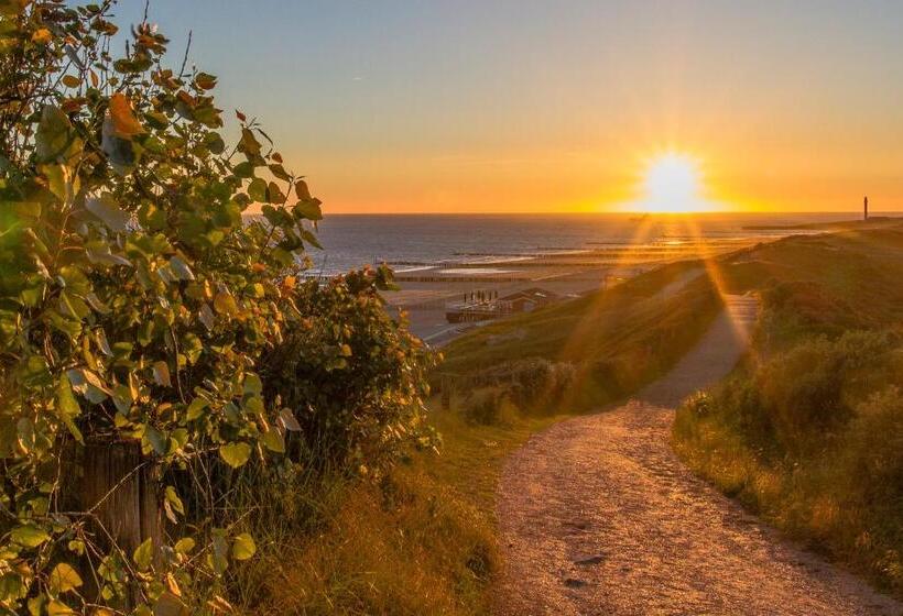 ホテル Domburg4you