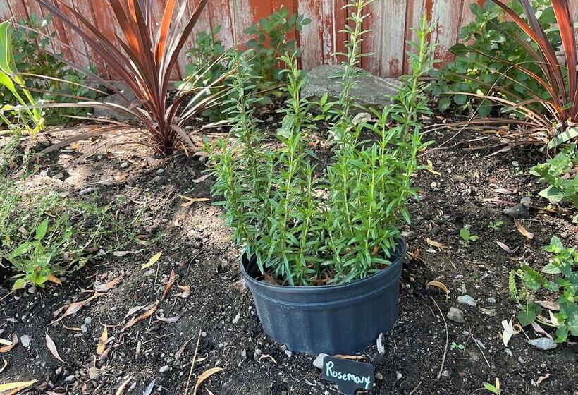 Hotell Lakeside Villa & Nordic Spa