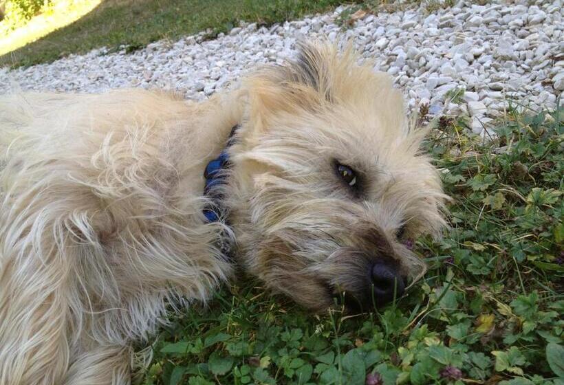 酒店 Logis Hostellerie La Chaumiere