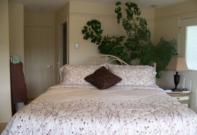 בית מלון כפרי Moonlit Cove B&b