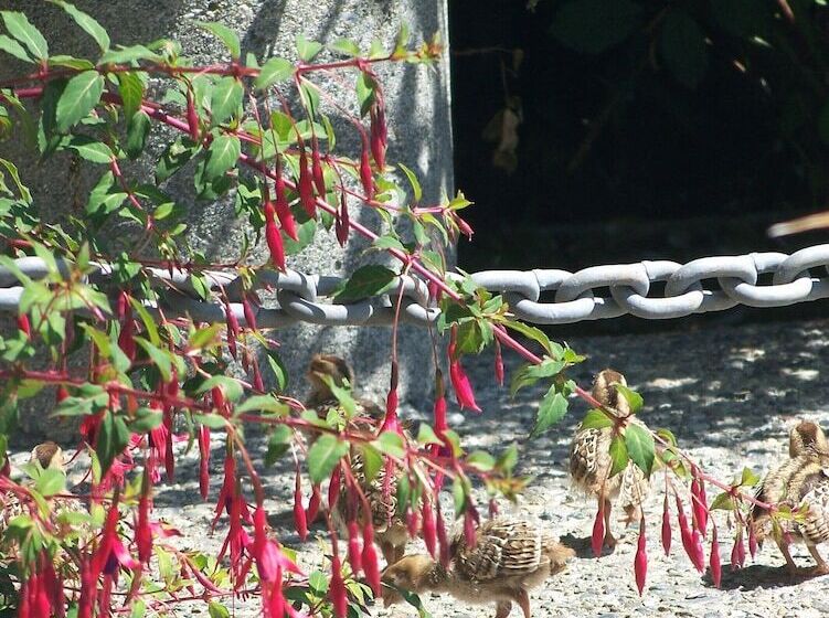 בית מלון כפרי Moonlit Cove B&b