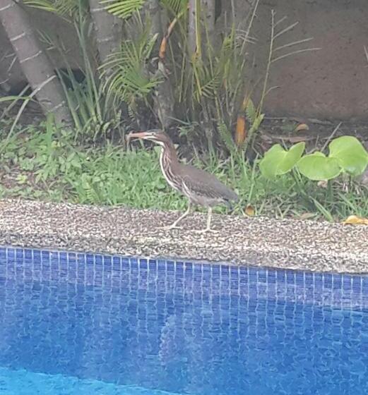 ホテル Portal Colonial