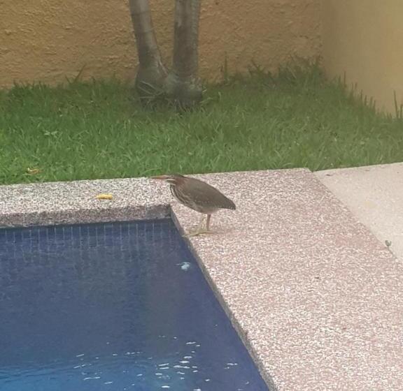 ホテル Portal Colonial