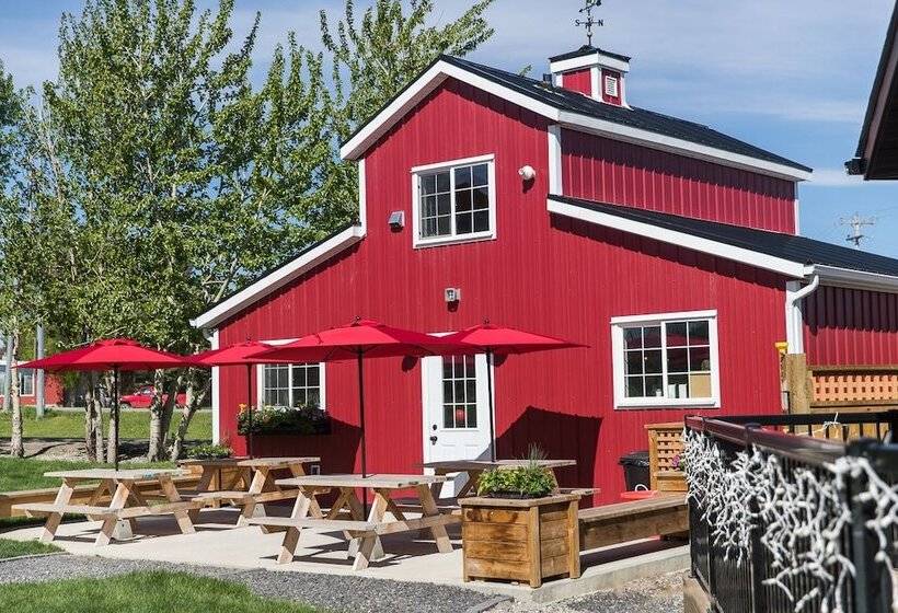 ホテル Stardust Inn And Chalets