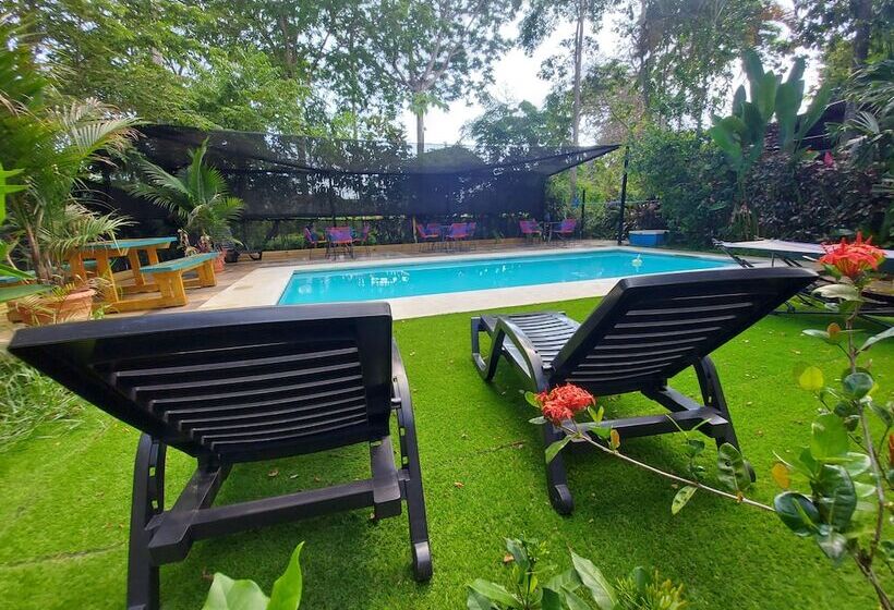 בית מלון כפרי Tucan