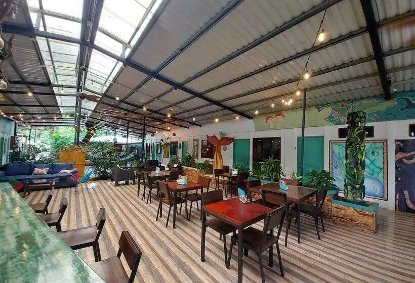 Hotelli Tucan