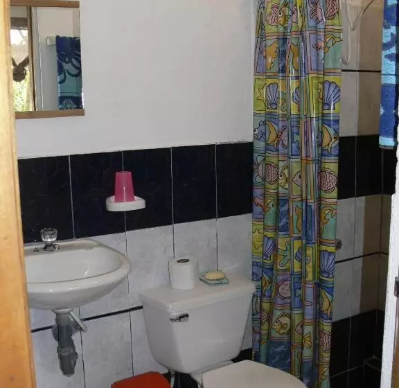هاستل Hostal Suiza