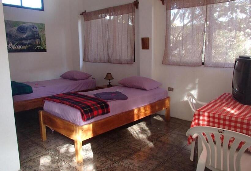 Общежитие Hostal Suiza