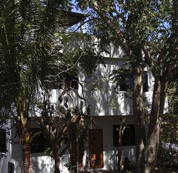 Общежитие Hostal Suiza