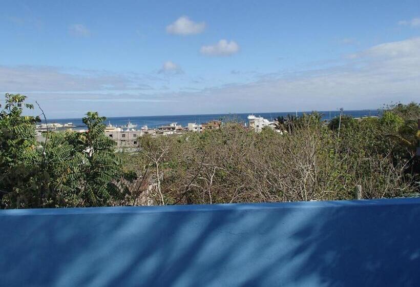 Общежитие Hostal Suiza