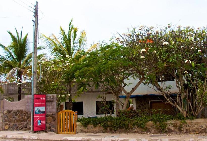 Общежитие Hostal Suiza