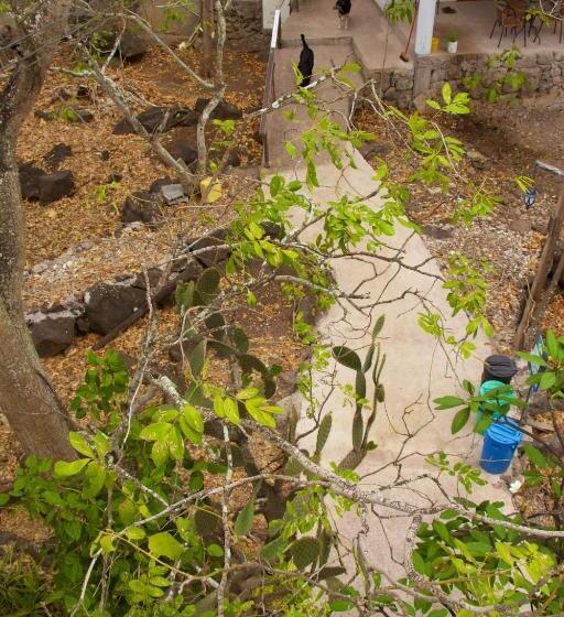 Общежитие Hostal Suiza