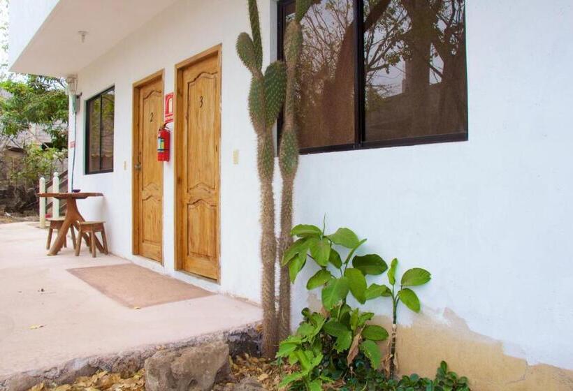 Общежитие Hostal Suiza