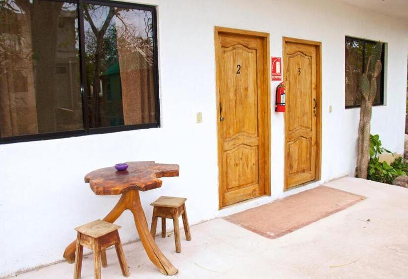 Общежитие Hostal Suiza