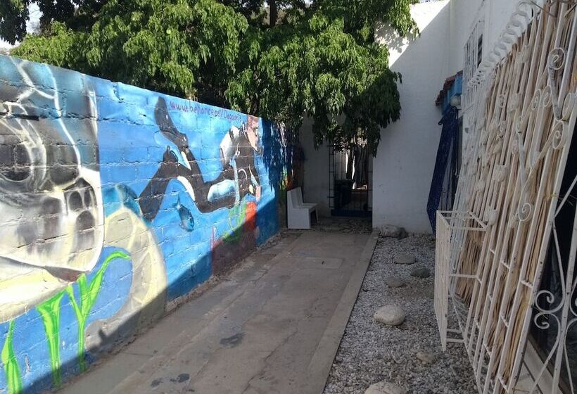 הוסטל Taganga Paradise Hostal Diving