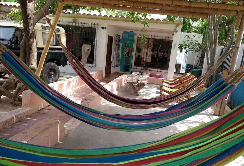 הוסטל Taganga Paradise Hostal Diving