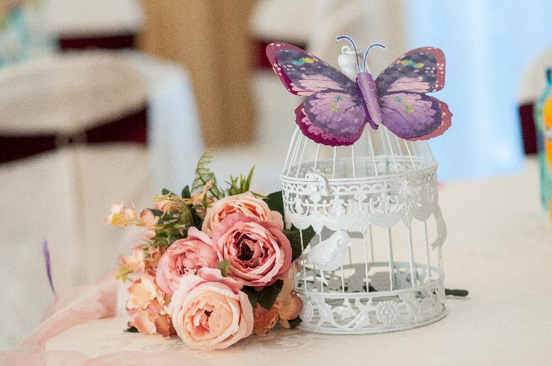 בית מלון כפרי Arnia