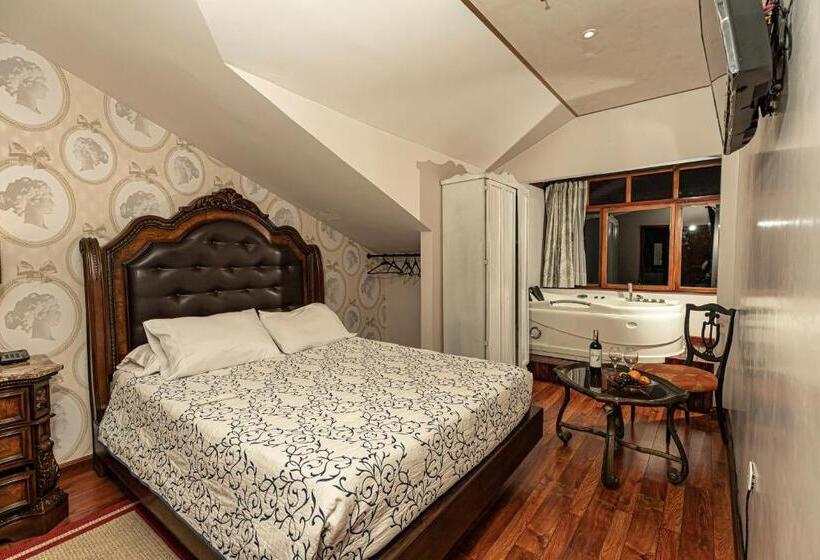 هتل Azul De La Plaza By Chat Noir