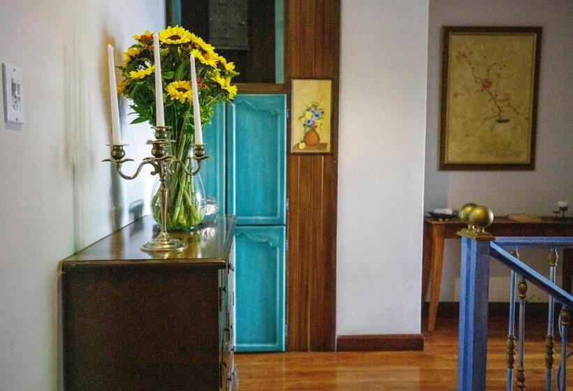 هتل Azul De La Plaza By Chat Noir