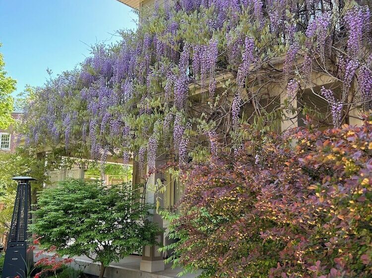 ホテル Norfolk Guest House Inn