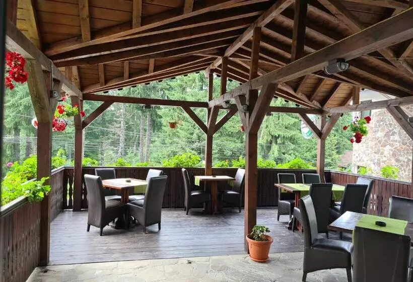 تختخواب و صبحانه Pension Montien Events & Society Resort