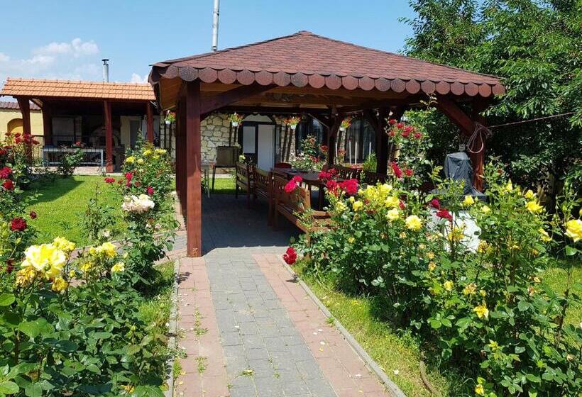 تختخواب و صبحانه Pension Terra