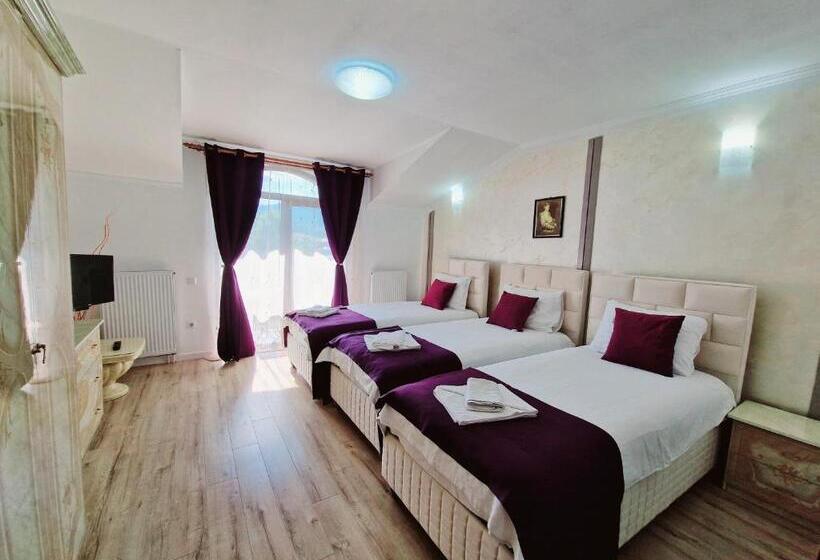 تختخواب و صبحانه Pension Terra