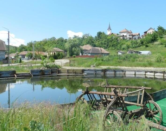 Csipkeszeg Bed & Breakfast Sic / Szék Romania