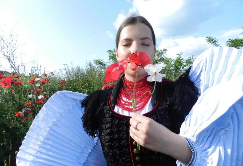 Csipkeszeg Bed & Breakfast Sic / Szék Romania