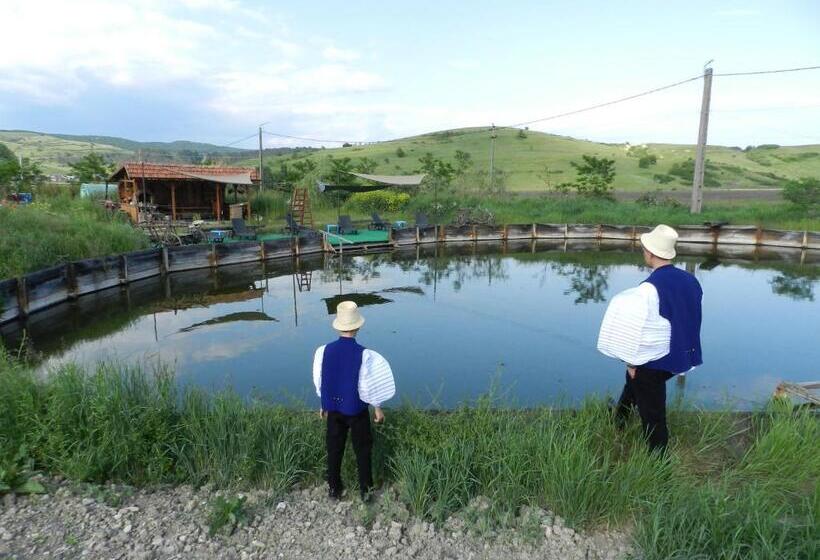 Csipkeszeg Bed & Breakfast Sic / Szék Romania