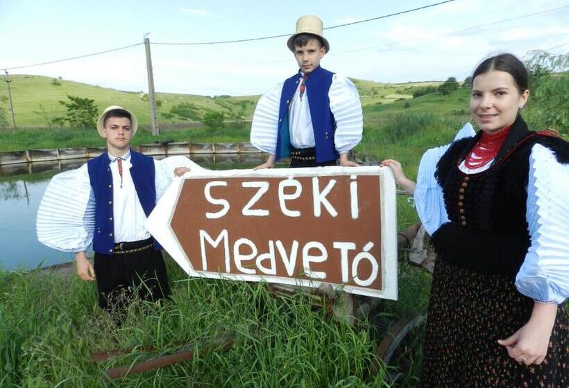 Csipkeszeg Bed & Breakfast Sic / Szék Romania