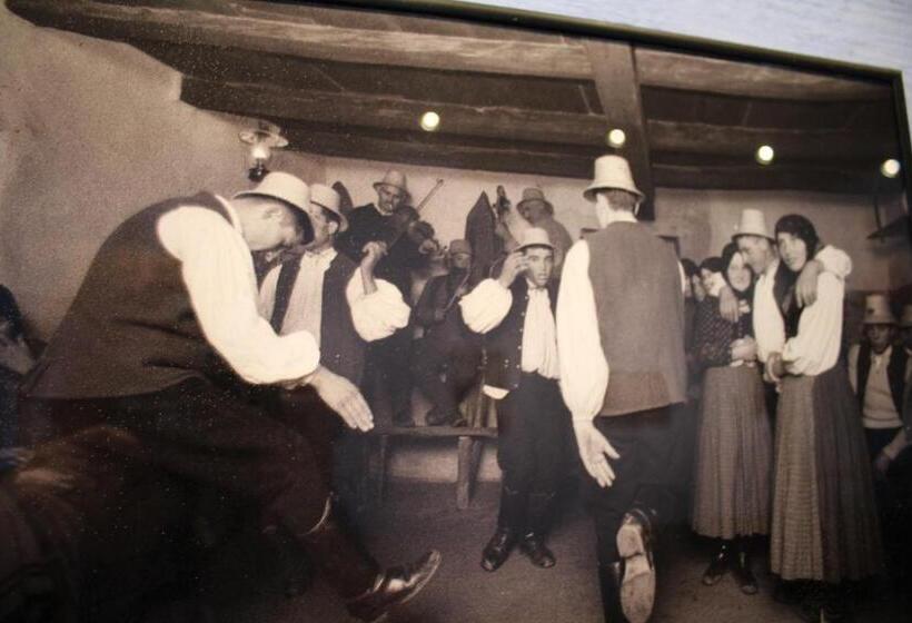 Csipkeszeg Bed & Breakfast Sic / Szék Romania