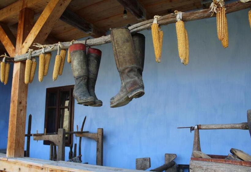 Csipkeszeg Bed & Breakfast Sic / Szék Romania