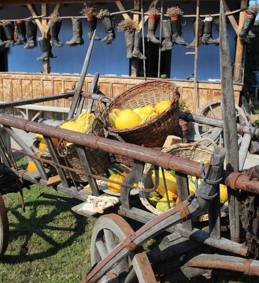 Csipkeszeg Bed & Breakfast Sic / Szék Romania
