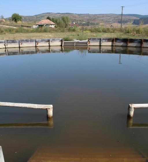 Csipkeszeg Bed & Breakfast Sic / Szék Romania