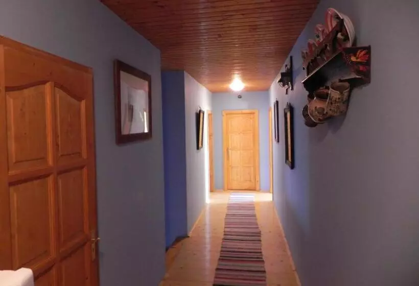 Csipkeszeg Bed & Breakfast Sic / Szék Romania