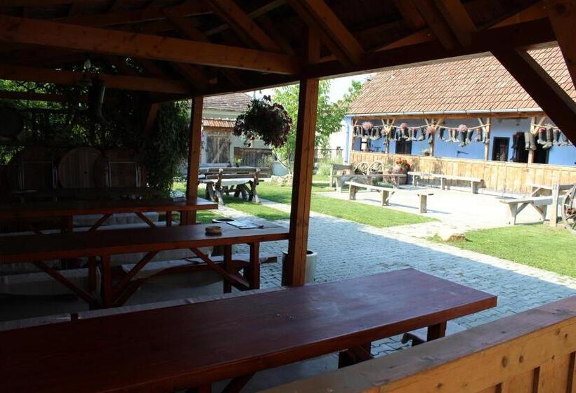 Csipkeszeg Bed & Breakfast Sic / Szék Romania