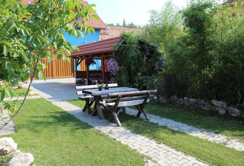 Csipkeszeg Bed & Breakfast Sic / Szék Romania